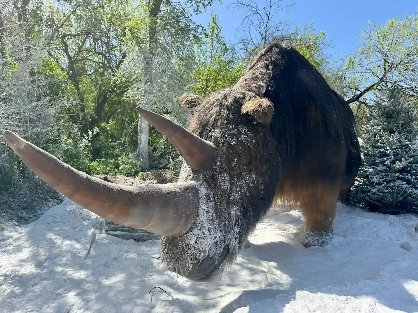 Finibus Tortor - Giants of Ice Age in San Antonio Zoo - Giant Creatures
